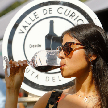 FIESTA DE LA VENDIMIA 