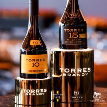 TORRES BRANDY ZERO